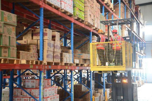 數(shù)字化轉(zhuǎn)型 一場(chǎng)被低估的食品行業(yè)物流戰(zhàn)爭(zhēng)