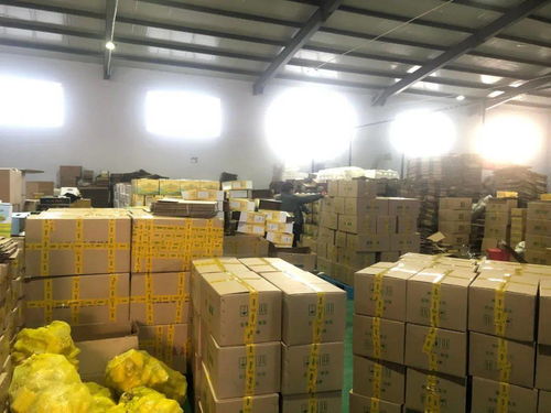 電商賦能，筑夢(mèng)五原——前11月交易額突破6億元，縣域經(jīng)濟(jì)借“網(wǎng)”騰飛